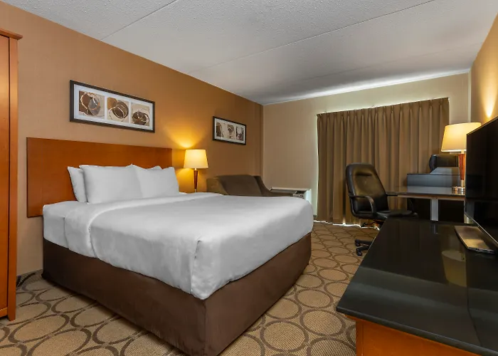 Comfort Inn